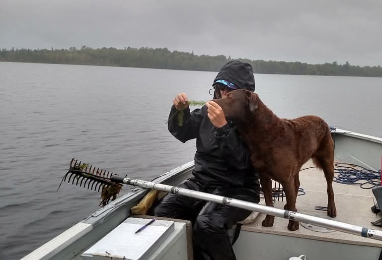 A dog and a scuba diver sit on a boat in a lake and look at a piece of a plant. 